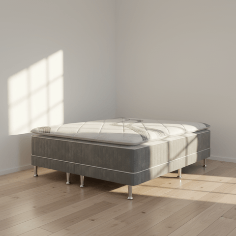 Inicio -1- Inicio -1-